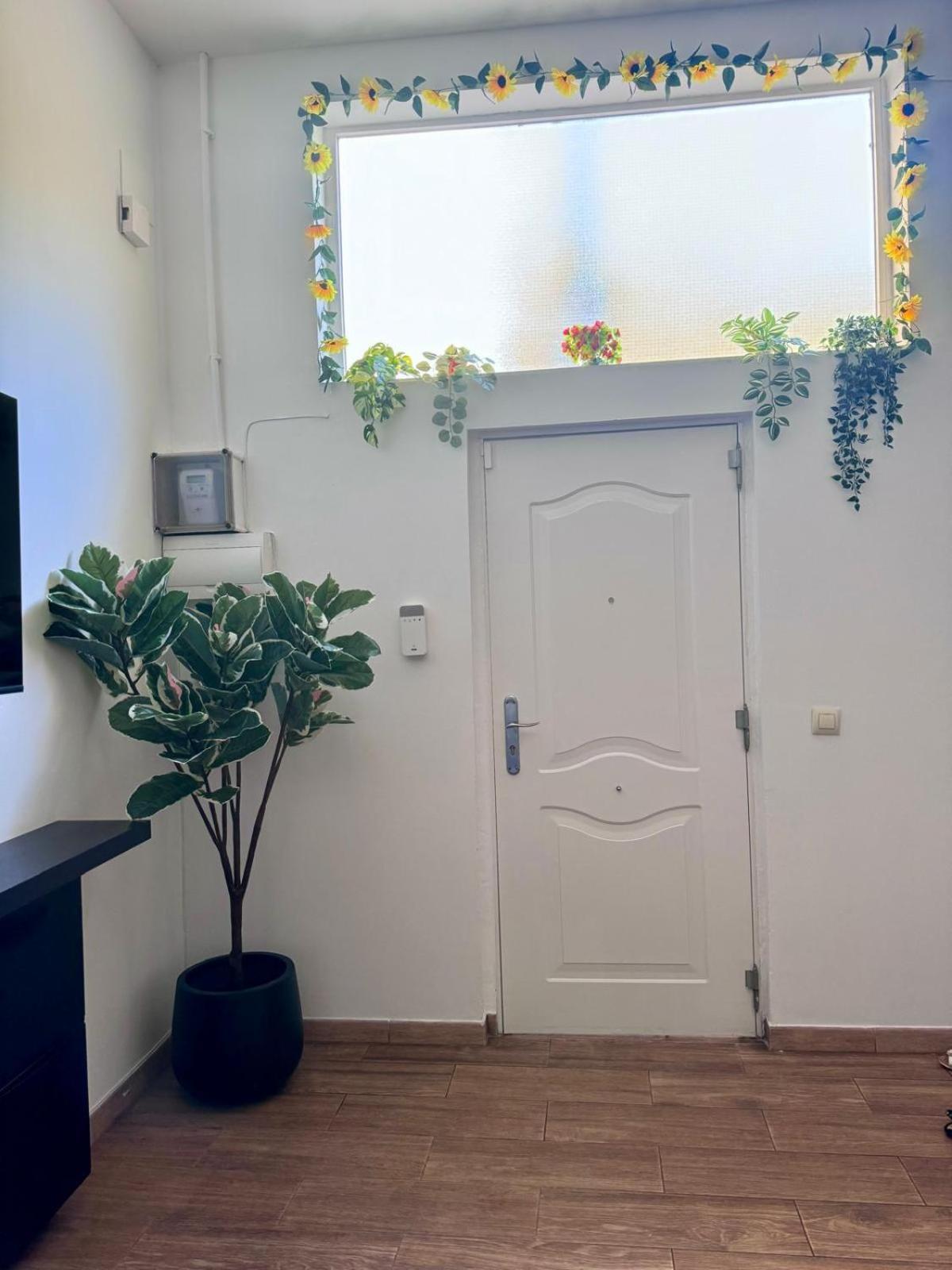 Pamis Apartament Sants, Βαρκελώνη Εξωτερικό φωτογραφία
