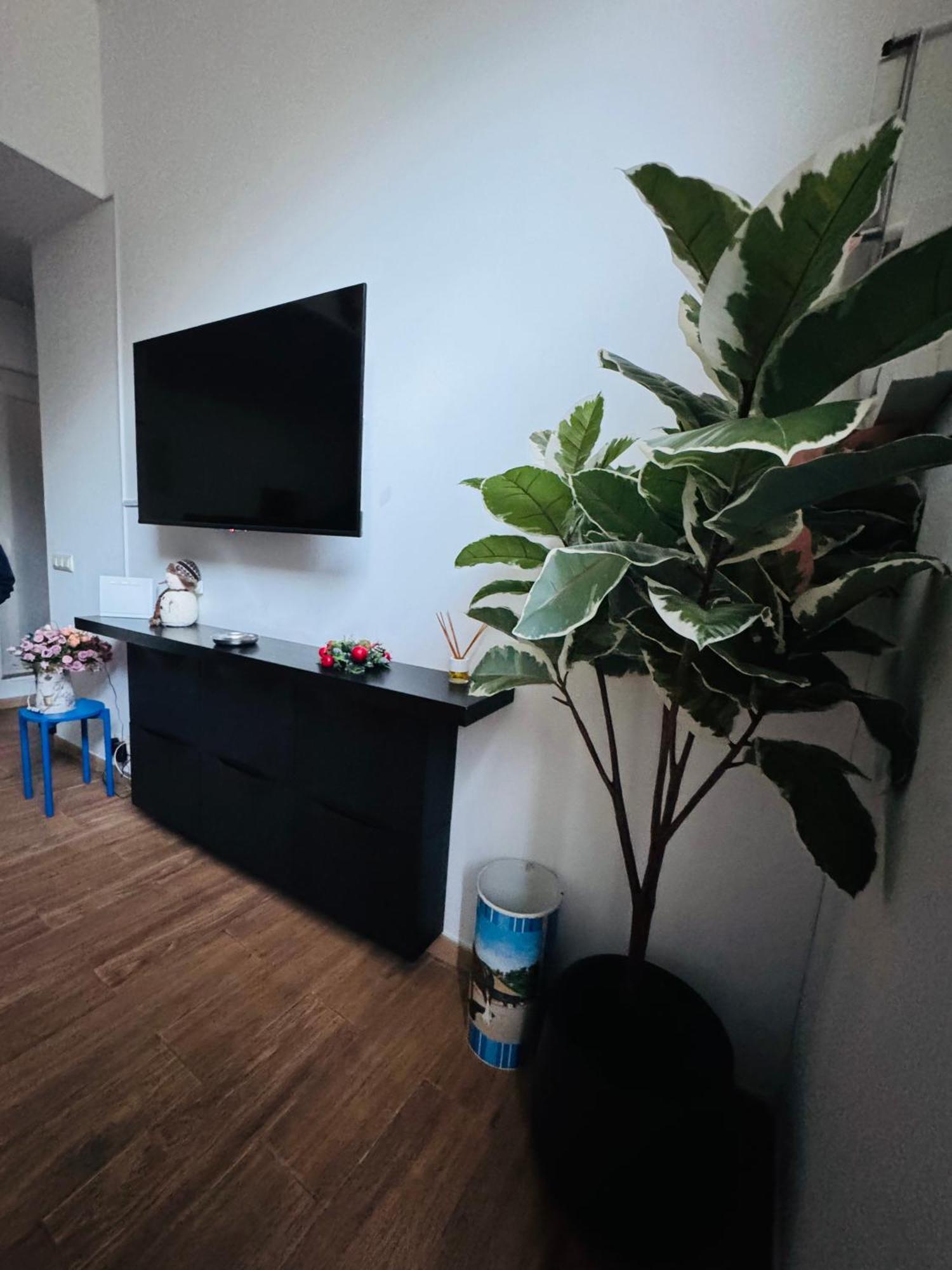 Pamis Apartament Sants, Βαρκελώνη Εξωτερικό φωτογραφία